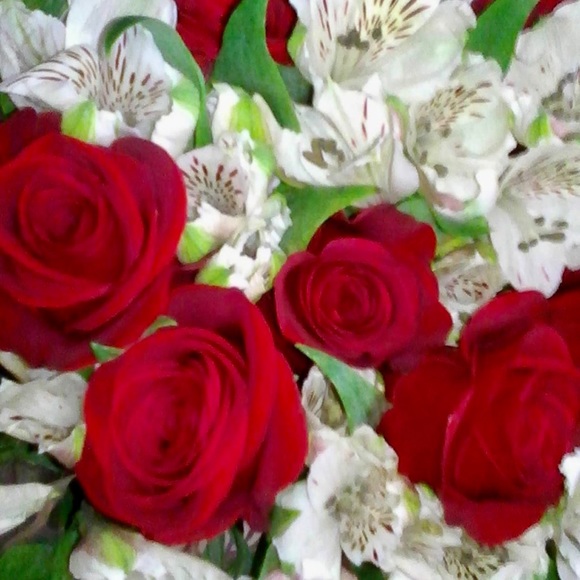 Meet your Posher, Emmie - Picture 13 of 14